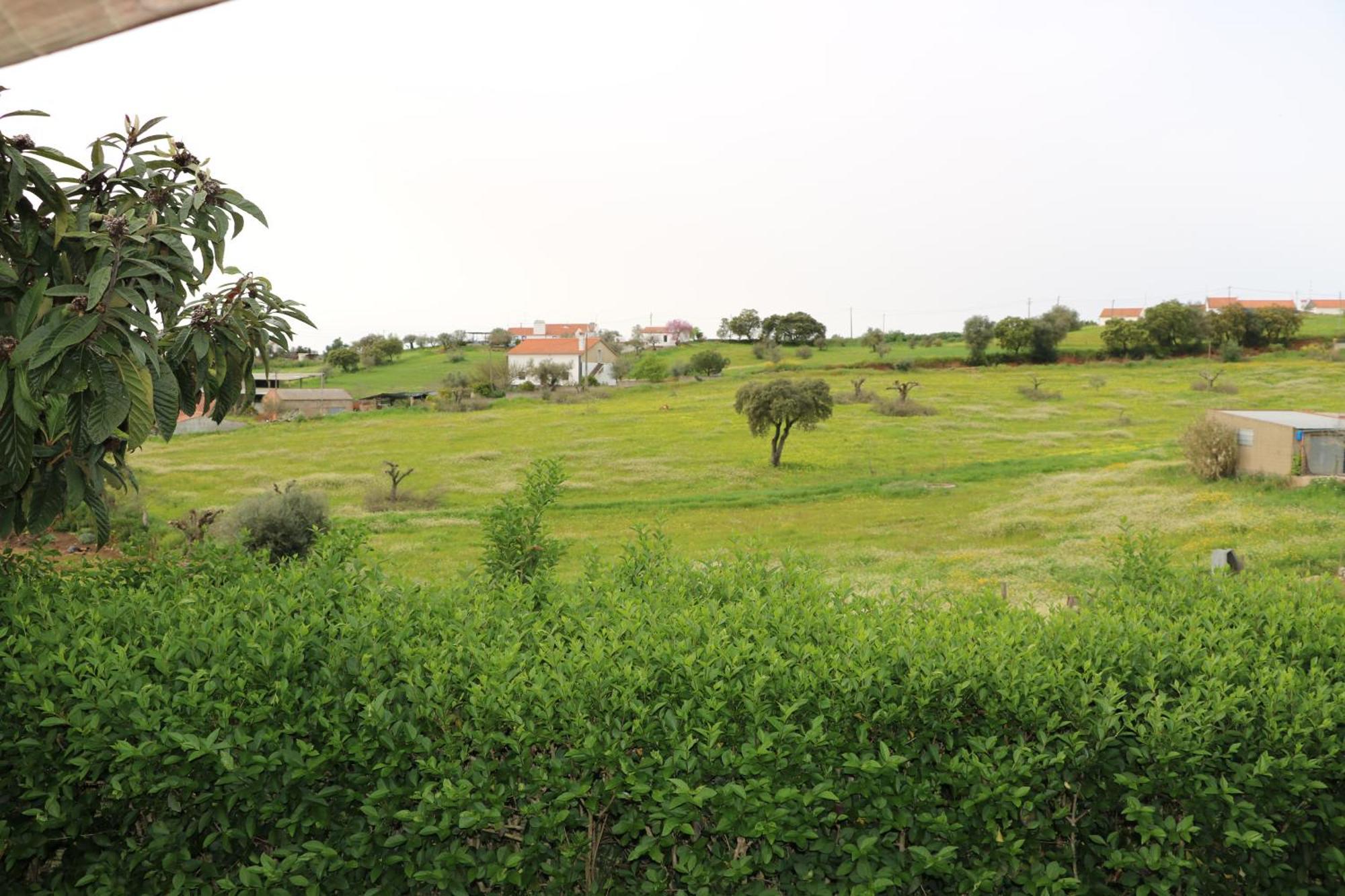 C M Casa De Mares Alojamento Local Casas Novas de Mares Eksteriør billede